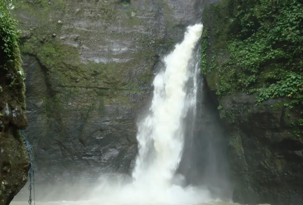 A stunning view of Pagsanjan Falls cascading into a river, surrounded by lush greenery and vibrant nature.