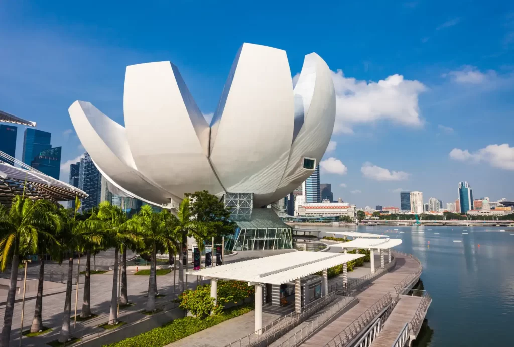 A striking architectural landmark, the ArtScience Museum in Singapore resembles a blooming lotus flower with its iconic white, petal-shaped structure. Surrounded by lush palm trees and set against the backdrop of the Marina Bay skyline, the museum is adjacent to a waterfront promenade under a clear blue sky.