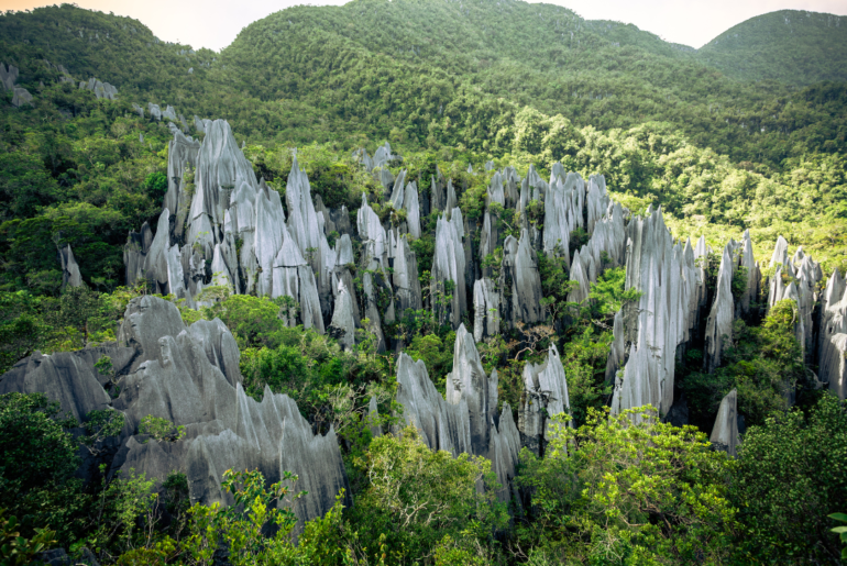 Best Adventures in Borneo: A Thrill Seeker's Paradise