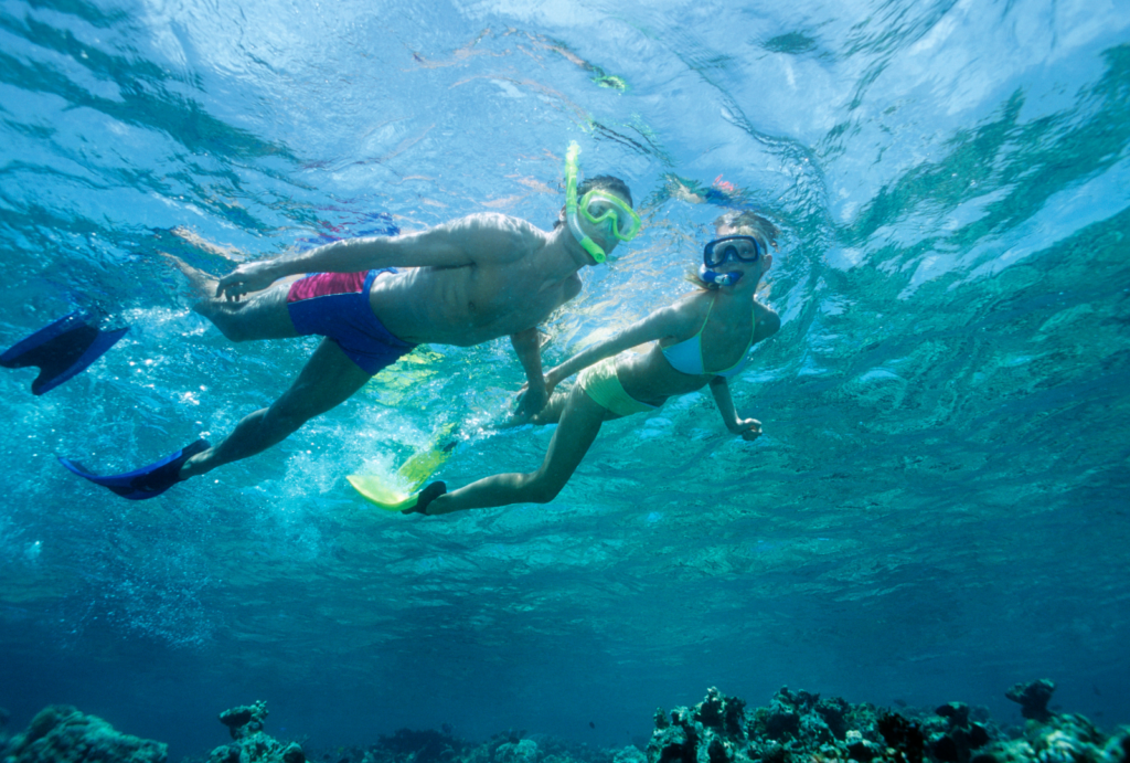 Underwater scene of two people in swimsuits with snorkels, discovering the rich marine life.