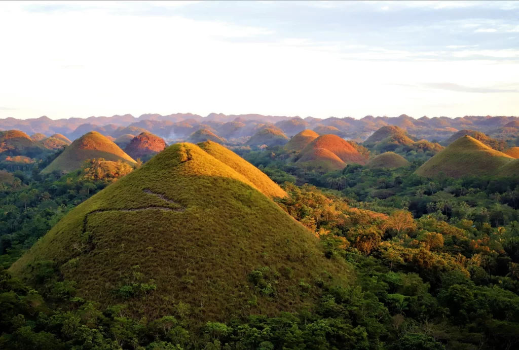 A scenic view of the Chocolate Hills in Bohol, Philippines, during golden hour. The unique mounds, covered in green grass, create a striking and uniform landscape as they stretch out into the distance. The warm sunlight casts soft shadows, emphasizing the hills' symmetrical shapes, while lush tropical vegetation surrounds their bases.