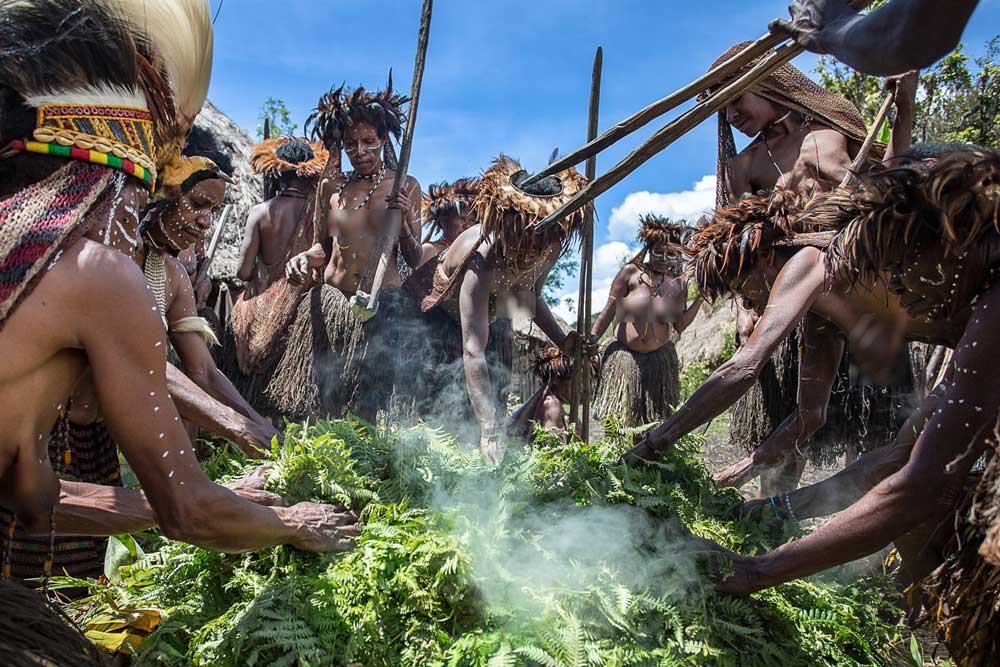 Dani tribe prepares food for the Pig Festival celebration.