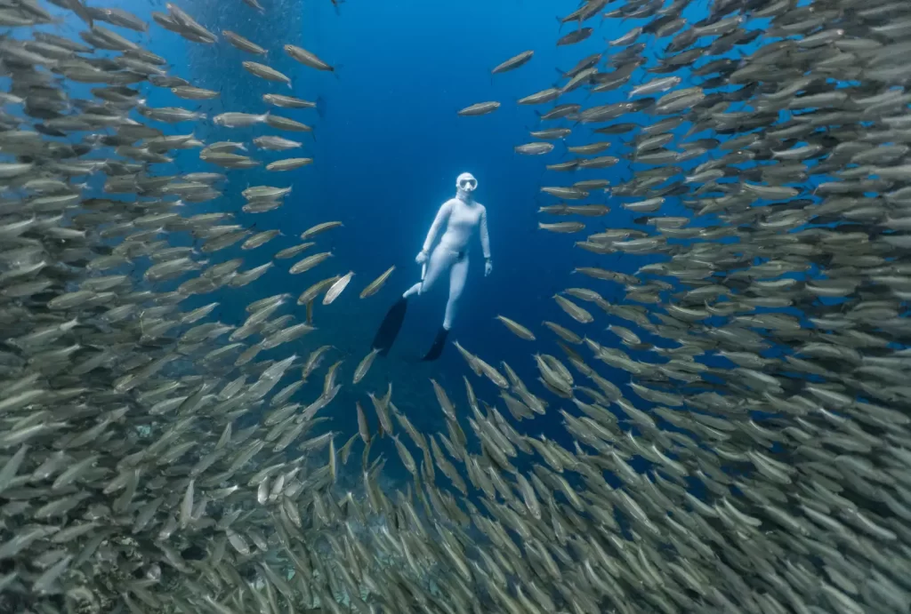 A woman in a white suit gracefully free dives among a vibrant school of sardines in a shallow coral reef.