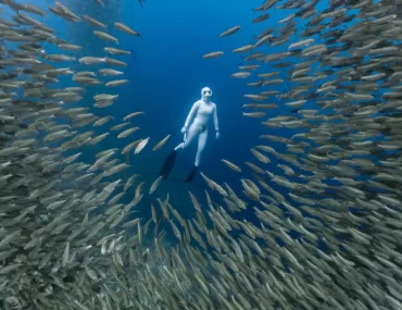 A woman in a white suit gracefully free dives among a vibrant school of sardines in a shallow coral reef.