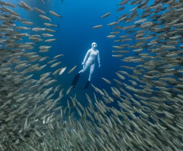 A woman in a white suit gracefully free dives among a vibrant school of sardines in a shallow coral reef.