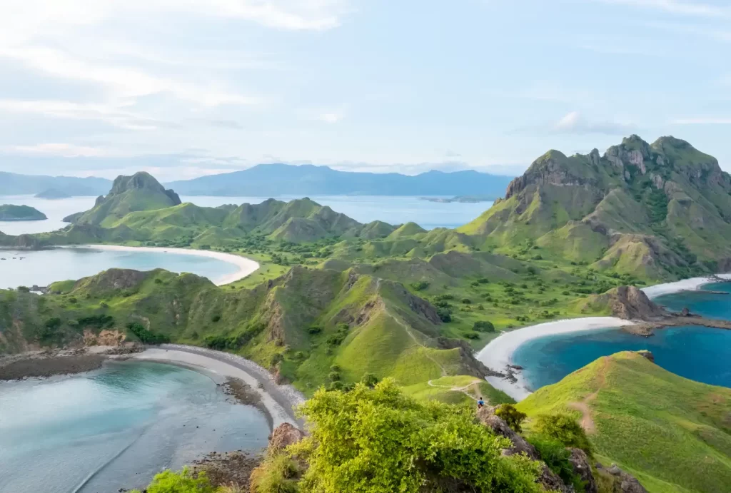 Scenic view of Padar Island in Komodo National Park, Flores, Indonesia. The image showcases the iconic green hills, crescent-shaped beaches, and turquoise waters under a clear blue sky, illustrating the island's breathtaking natural beauty.