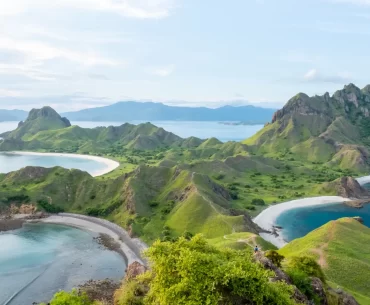 Scenic view of Padar Island in Komodo National Park, Flores, Indonesia. The image showcases the iconic green hills, crescent-shaped beaches, and turquoise waters under a clear blue sky, illustrating the island's breathtaking natural beauty.