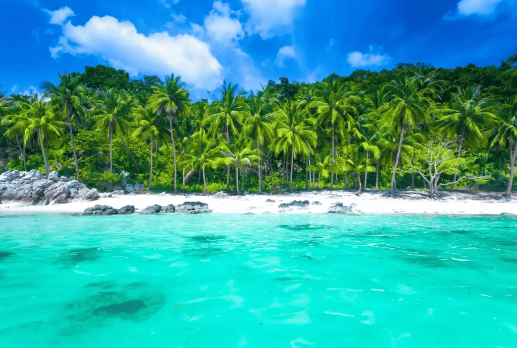 Serene tropical beach in Koh Samui, featuring swaying palm trees and crystal-clear waters, perfect for luxury travel.