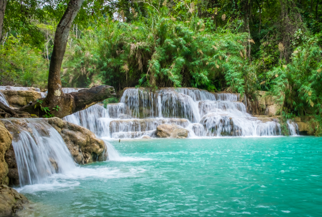 Kuang Si Falls_ Laos tour