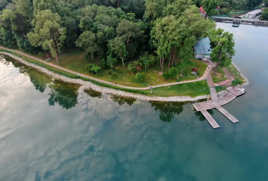 Aerial view of a lush, tree-covered island in MacRitchie Reservoir, Singapore, showcasing nature's serene beauty