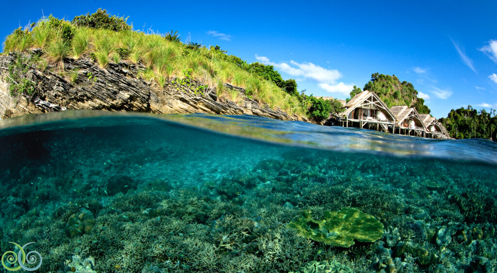 Stunning underwater view of an eco resort house in Raja Ampat, surrounded by vibrant marine life.