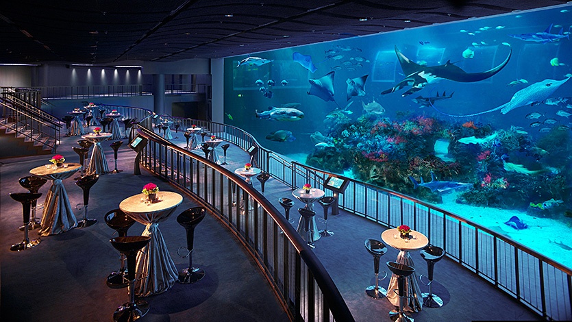  A restaurant with a breathtaking aquarium at its center, providing an immersive dining experience at S.E.A. Aquarium.