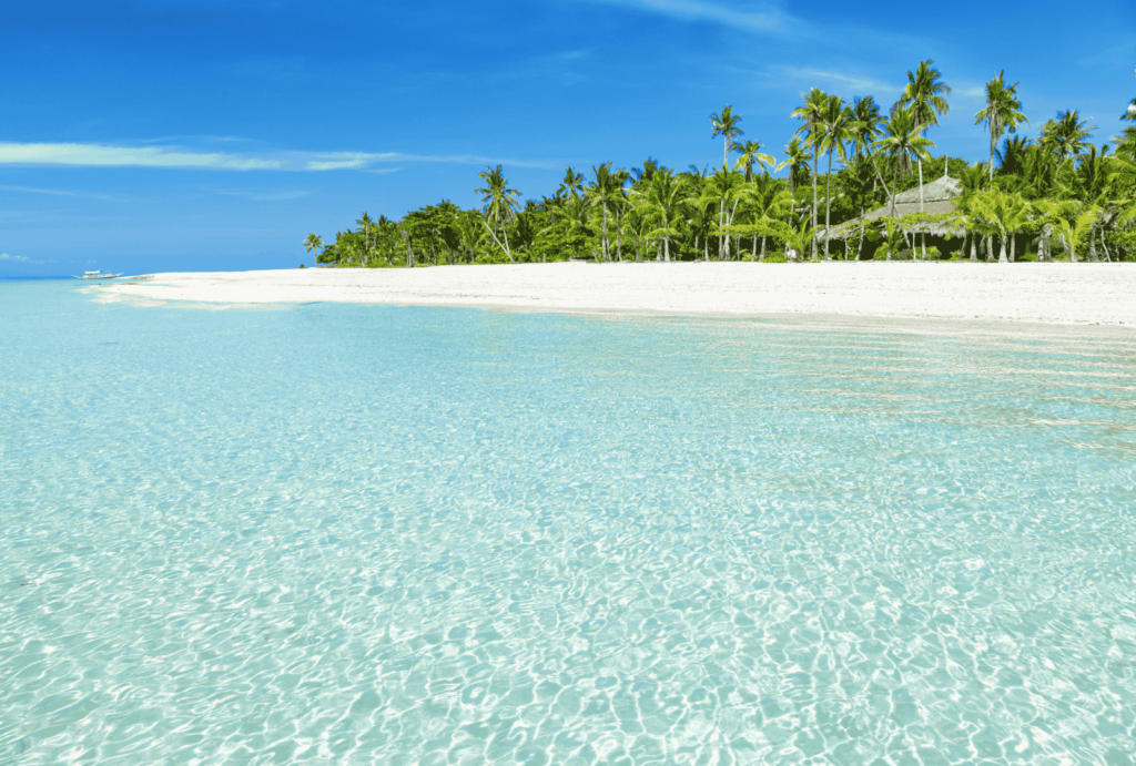 white sandy beach and clear water. green palm trees