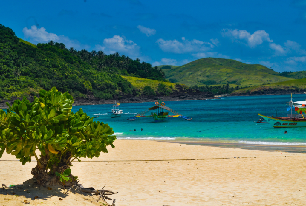 beautiful Calaguas Islands_ traditonal boats at the beach