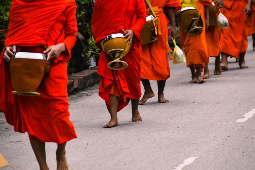 Saffron-robed monks walking barefoot on the morning alms round in Luang Prabang, Laos