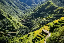 Batad rice terraces carved into the Cordillera mountains, Ifugao, Philippines