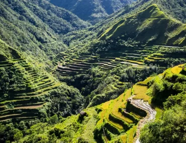 Batad rice terraces carved into the Cordillera mountains, Ifugao, Philippines