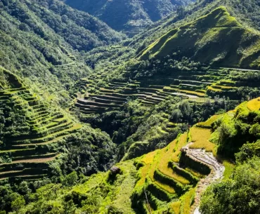 Batad rice terraces carved into the Cordillera mountains, Ifugao, Philippines