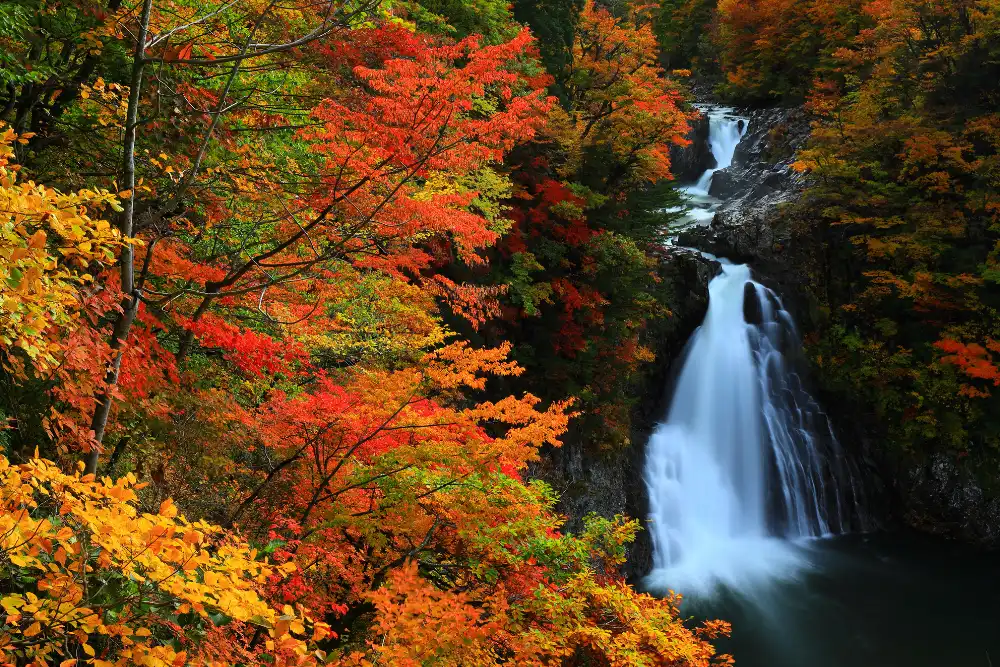 A stunning silk-effect waterfall surrounded by vibrant red and orange autumn foliage, showcasing the exclusive nature excursions offered by a luxury Japan travel agency.