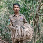 A professional Cambodia tour operator guide and wildlife ranger holding confiscated snares in a lush jungle, highlighting luxury eco-tourism and conservation efforts in Cambodia.