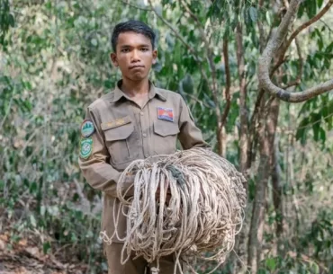 A professional Cambodia tour operator guide and wildlife ranger holding confiscated snares in a lush jungle, highlighting luxury eco-tourism and conservation efforts in Cambodia.