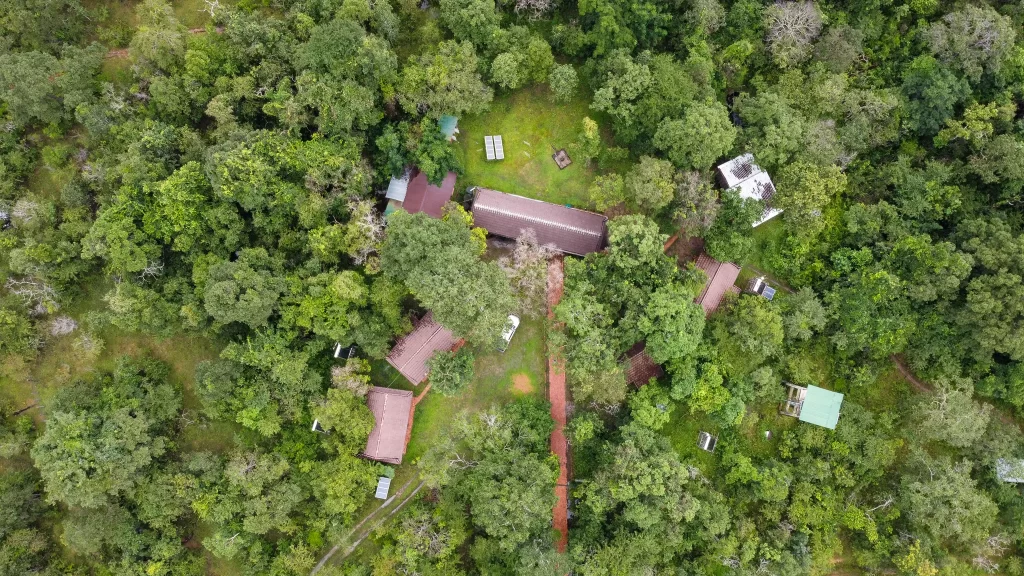 An aerial drone view of Tmat Boey Ecolodge nestled in a dense Cambodian forest, highlighting sustainable luxury accommodation for birdwatching tours managed by a top Cambodia tour operator.