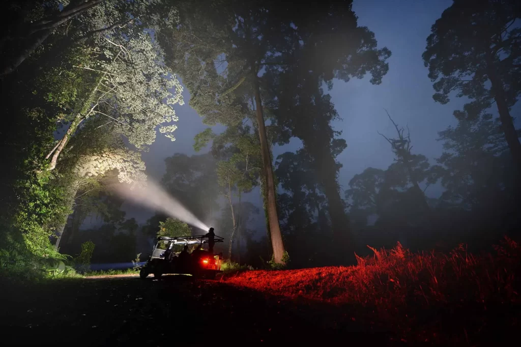 A spotlight-equipped safari vehicle scans the ancient forest edge on a night drive in Danum Valley, Borneo — after dark, the rainforest reveals clouded leopards, slow lorises, and flying squirrels found nowhere else on earth