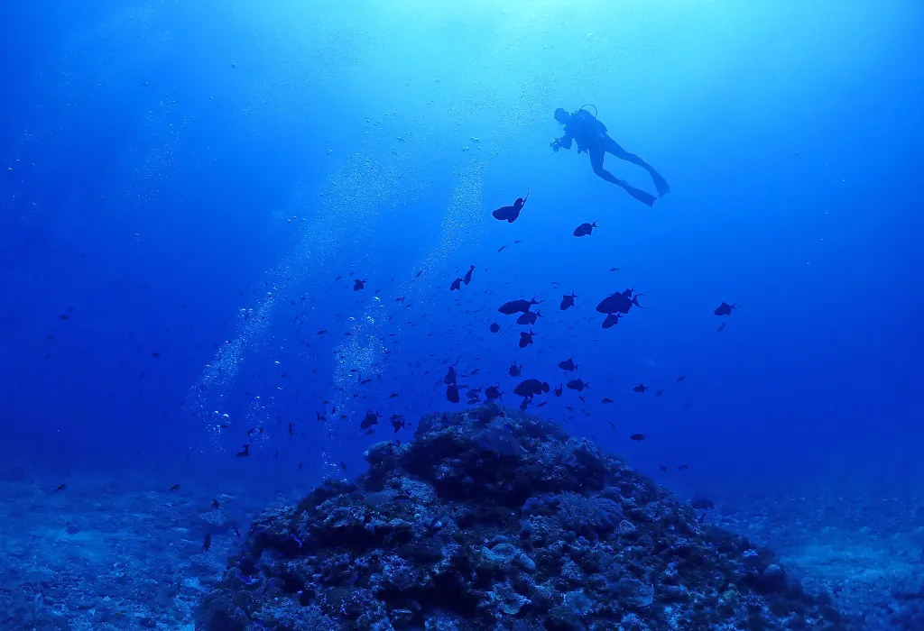 Luxury Japan travel and scuba diving tours in the Kerama Islands. Explore tropical reefs on a custom Japan DMC holiday.