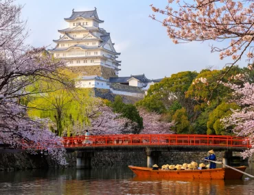 Himeji Castle, a UNESCO World Heritage Site, stands majestically in the background while a boat tour glides across the moat, surrounded by blooming cherry blossoms.