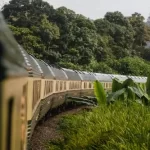 A beautiful shot of a classic luxury train passing through a dense forest. A perfect representation of a high-end, slow-travel experience for a memorable vacation.