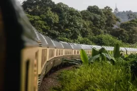 A beautiful shot of a classic luxury train passing through a dense forest. A perfect representation of a high-end, slow-travel experience for a memorable vacation.