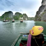 Discover the majestic beauty of Halong Bay's iconic limestone formations from the comfort of a private boat.