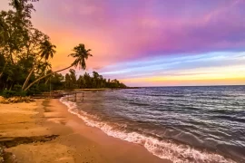Stunning tropical beach sunset in Thailand with palm trees and turquoise waters — curated by a luxury Thailand DMC and tour operator