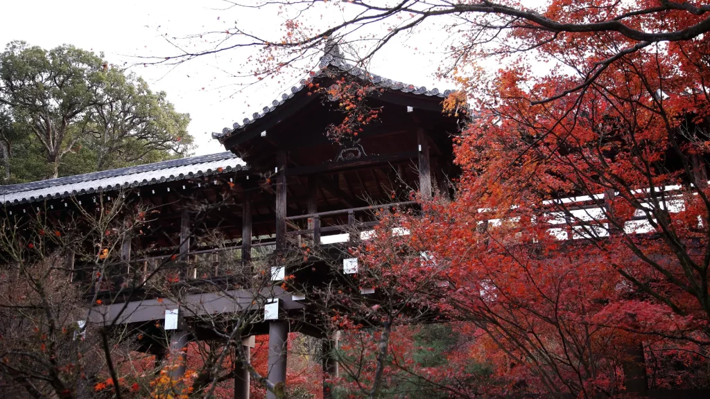 The wooden corridor bridge of Tofuku-ji temple engulfed in crimson maple foliage during autumn koyo season, Kyoto — one of Japan's most spectacular momiji viewing sites