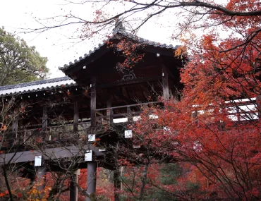 The wooden corridor bridge of Tofuku-ji temple engulfed in crimson maple foliage during autumn koyo season, Kyoto — one of Japan's most spectacular momiji viewing sites