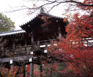 The wooden corridor bridge of Tofuku-ji temple engulfed in crimson maple foliage during autumn koyo season, Kyoto — one of Japan's most spectacular momiji viewing sites