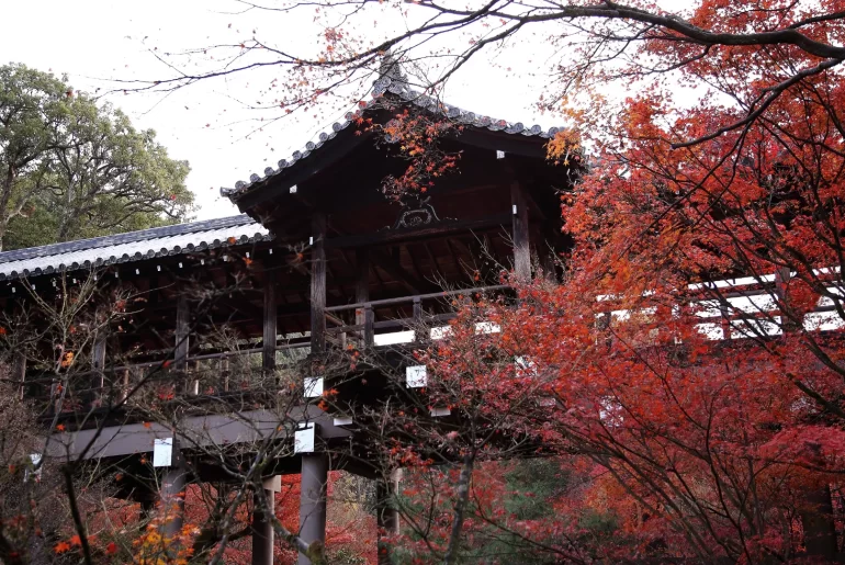 The wooden corridor bridge of Tofuku-ji temple engulfed in crimson maple foliage during autumn koyo season, Kyoto — one of Japan's most spectacular momiji viewing sites