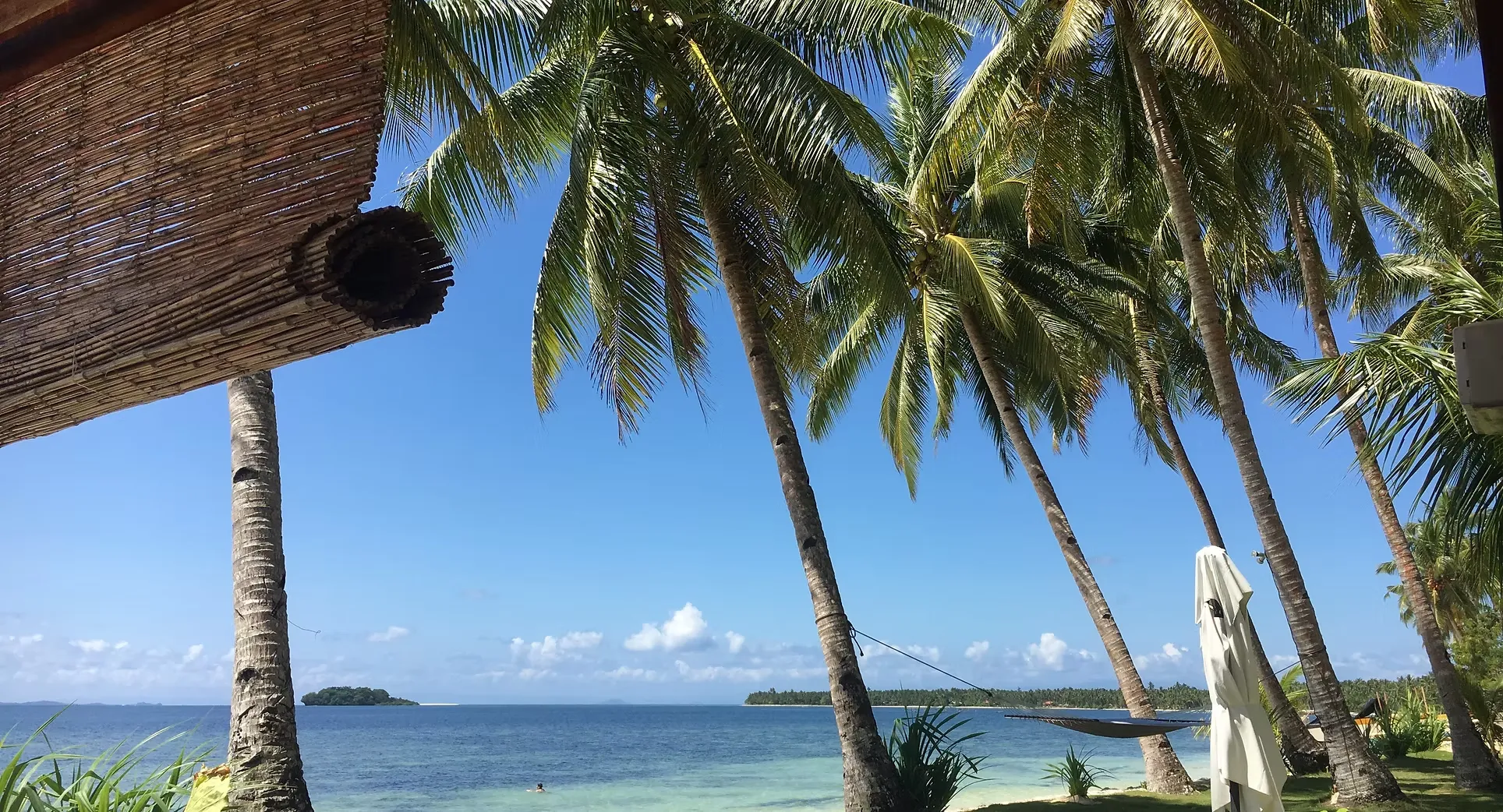 Palm-lined beach at Sandy Feet Siargao, a quiet villa retreat on Malinao beach, Siargao.