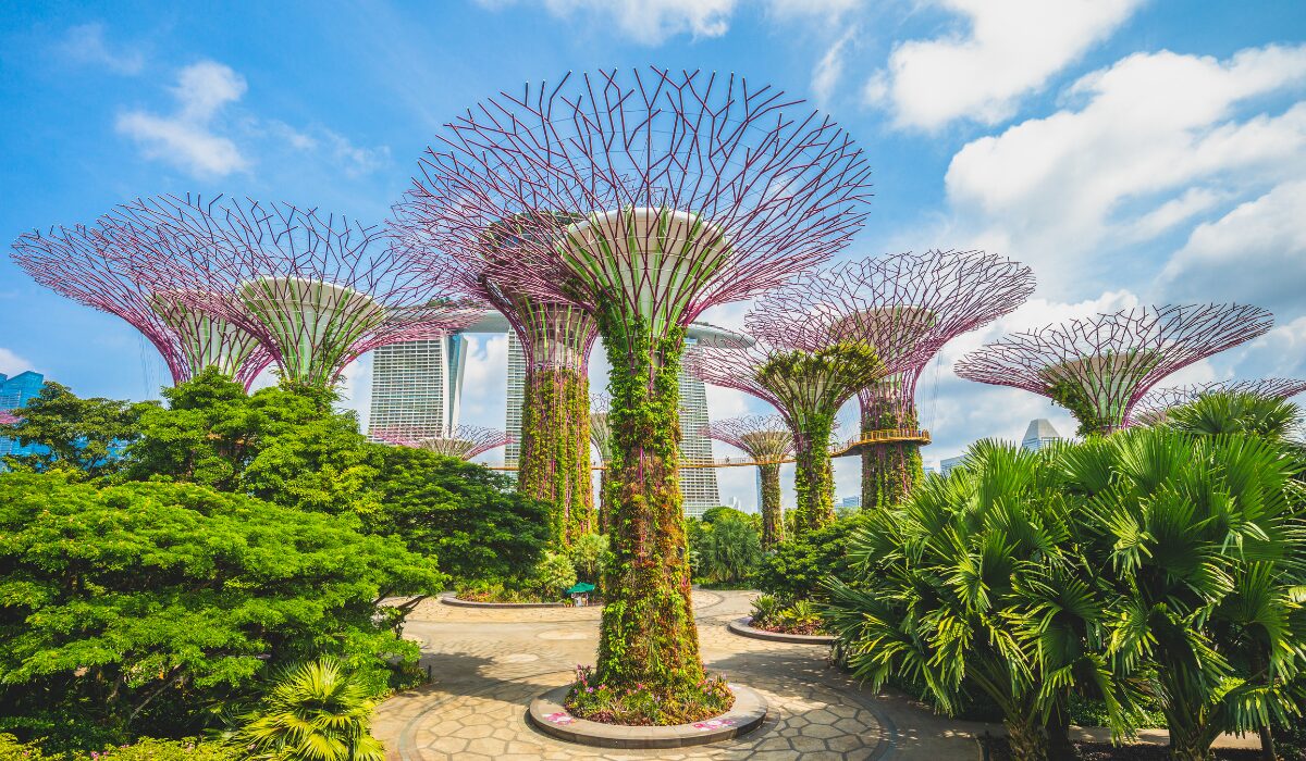GARDENS BY THE BAY singapore tour