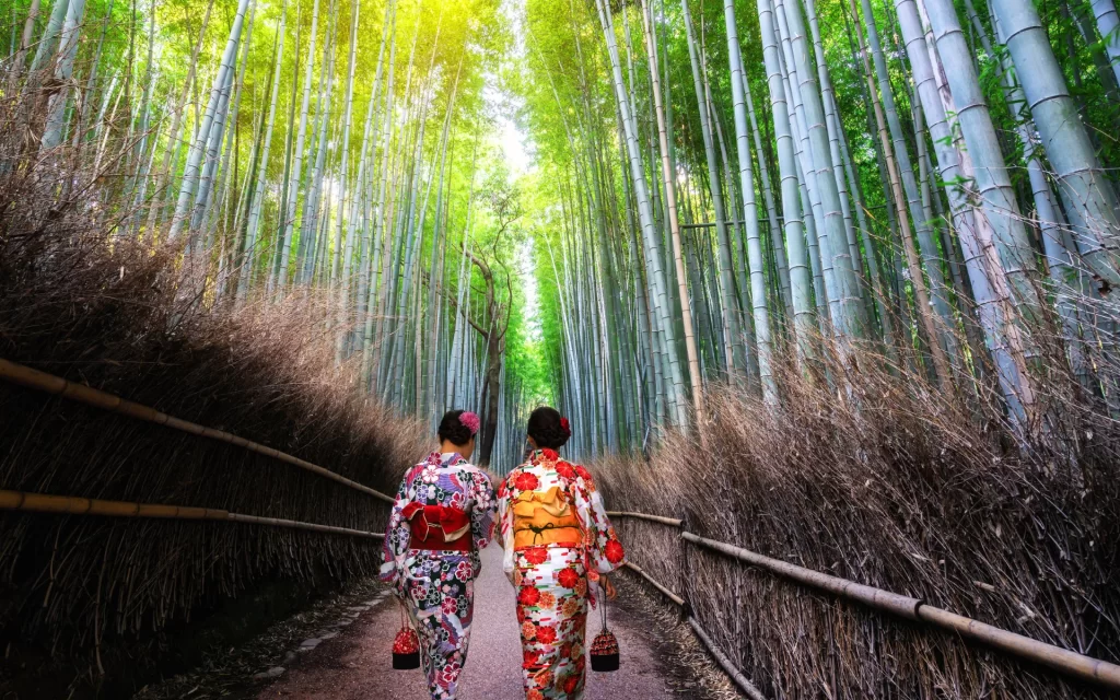 Arashiyama Bamboo Grove in Kyoto, Japan