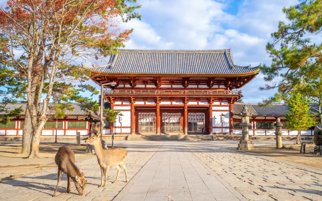 Temple gate in Nara, Japan