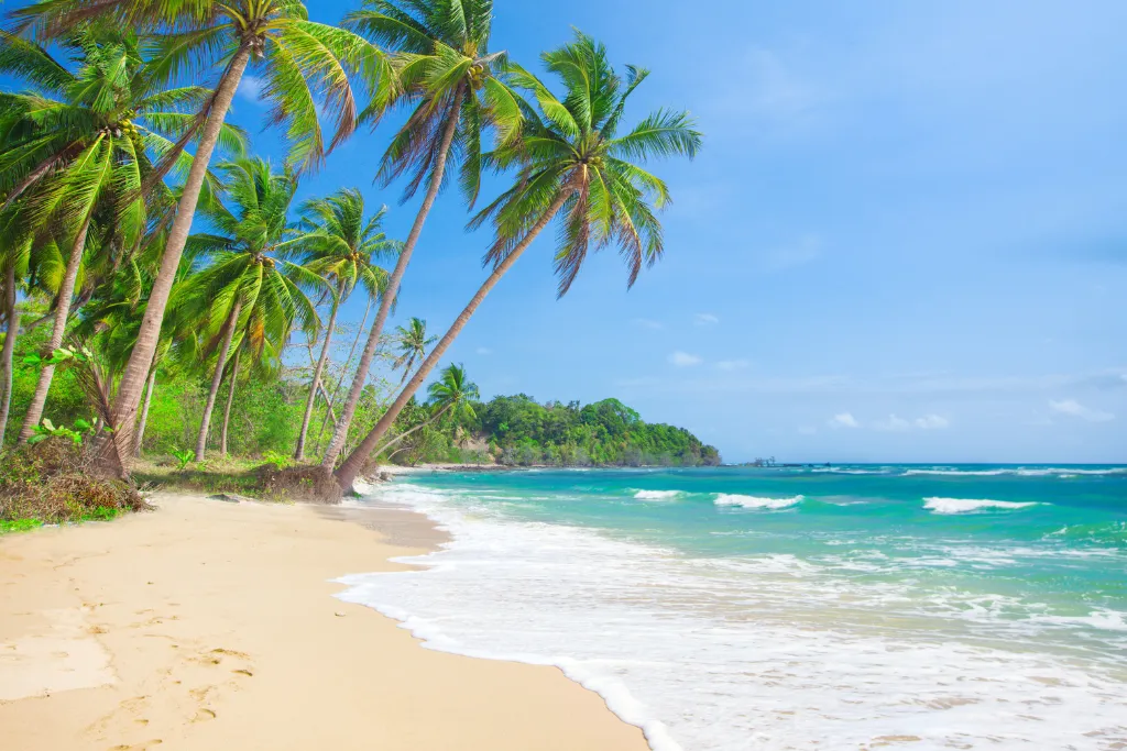 Idyllic white sand beach with swaying palm trees in Cebu, perfect for luxury beach holidays, exclusive incentive travel, and high-end corporate retreats in the Philippines.