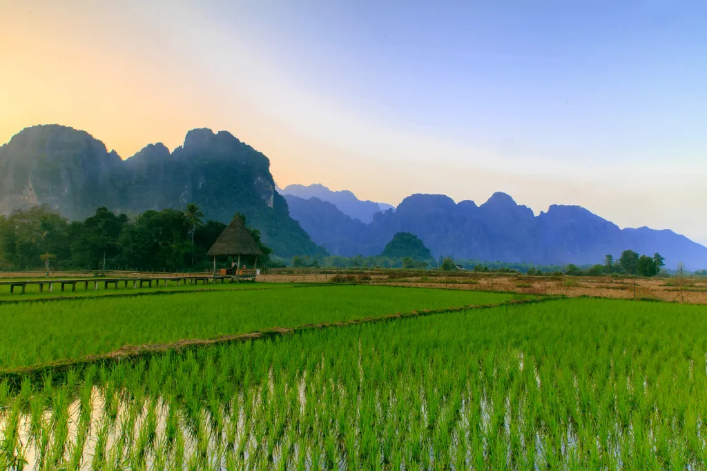 Vast green rice paddies with distant karst mountains in Laos, representing tranquil settings for luxury wellness retreats and MICE gatherings.