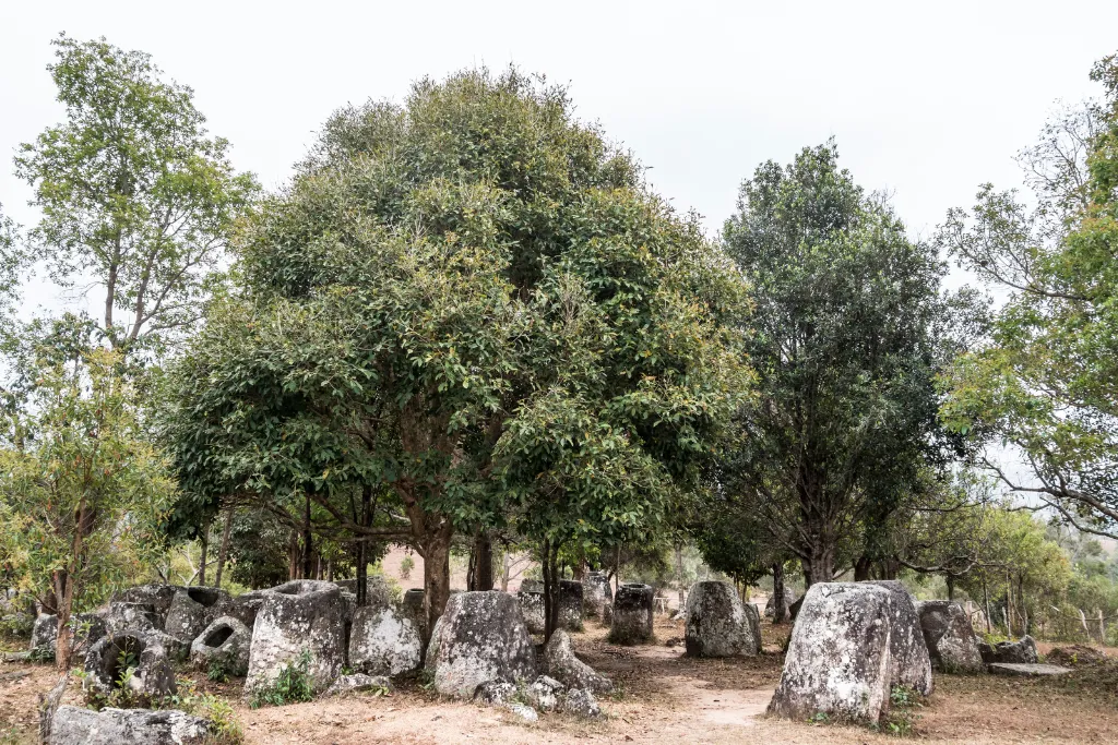 Large, ancient stone jars nestled among trees at the Plain of Jars archaeological site in Phonsavan, Laos, an intriguing destination for luxury cultural tours.