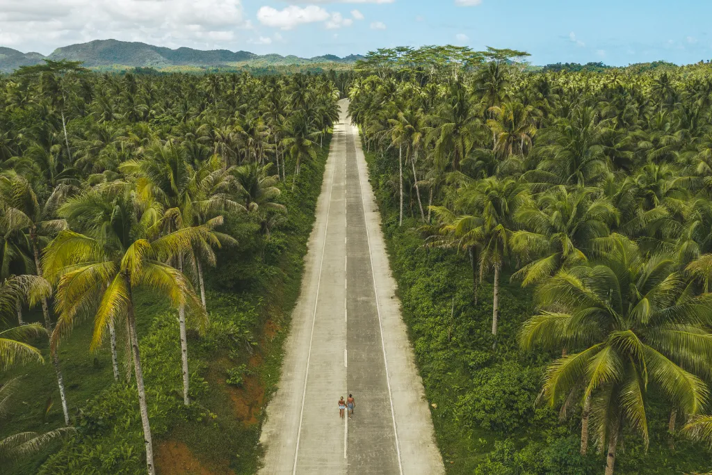 Drone shot of a long road winding through a dense palm tree forest in Siargao, offering a scenic drive for luxury exploration and curated DMC tours in the Philippines.