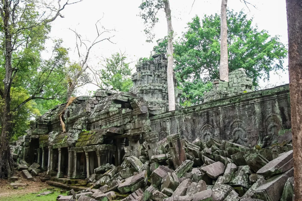 Ancient stone ruins of Ta Prohm temple enveloped by jungle trees, showcasing unique historical sites for luxury adventure travel and exclusive MICE experiences in Cambodia.
