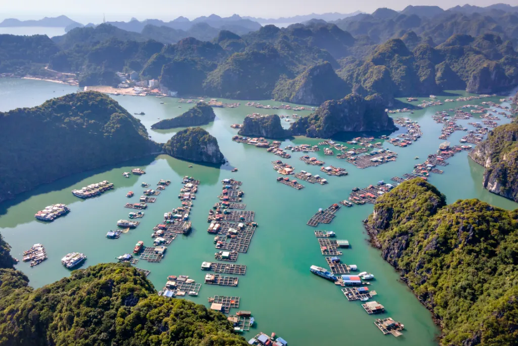Aerial view of Ha Long Bay's vibrant floating village, ideal for unique cultural MICE and DMC experiences in Vietnam. Discover authentic local life.