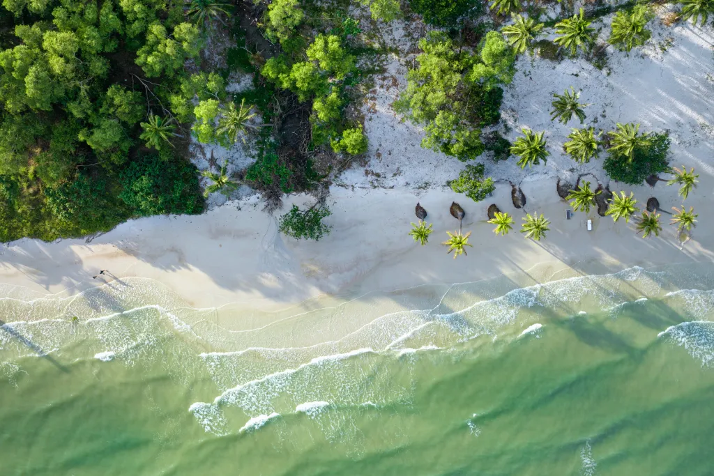 Stunning top-down aerial view of a pristine tropical beach in Phu Quoc with lush palm trees and gentle waves, emphasizing the untouched beauty for luxury getaways and serene retreats.