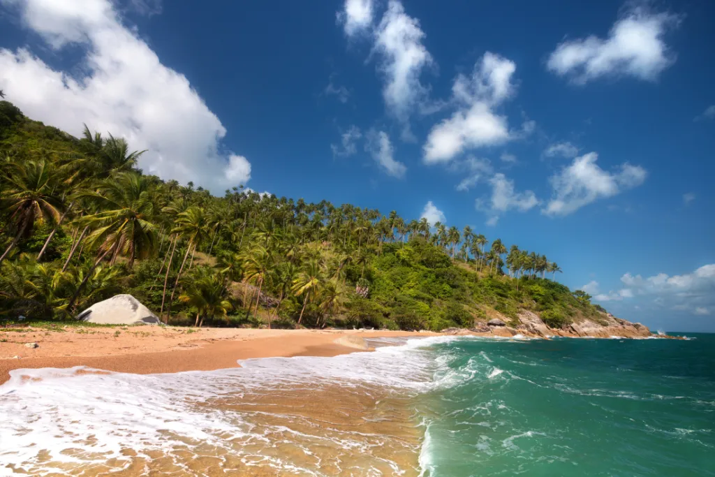 A breathtaking view of a secluded beach in Ko Pha-ngan, Thailand, featuring a beautiful sandy shoreline, lush palm trees, and turquoise water.