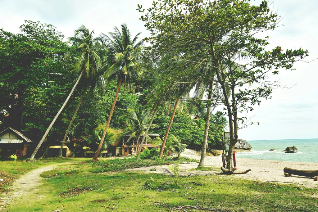 A tranquil scene on a secluded beach in Ko Pha-ngan, Thailand, with a path leading to traditional bungalows and tall palm trees. This image evokes the feeling of a peaceful and exclusive tropical luxury getaway.